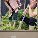 娱乐八卦是吃瓜群众,吃瓜群众带你领略八卦风云