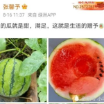 浮云娱乐吃瓜,揭秘娱乐圈最新吃瓜事件