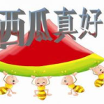 娱乐吃瓜ppt,揭秘娱乐圈幕后故事与热点事件