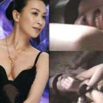 关之琳 高尔夫球事件,揭秘娱乐圈的隐秘丑闻与明星的痛苦历程